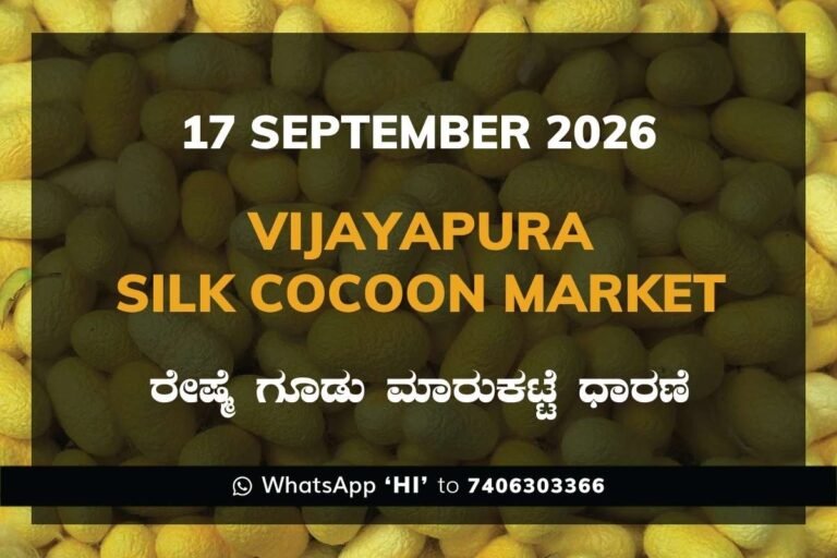 Vijayapura Silk Cocoon Market Rates – 17 September 2026