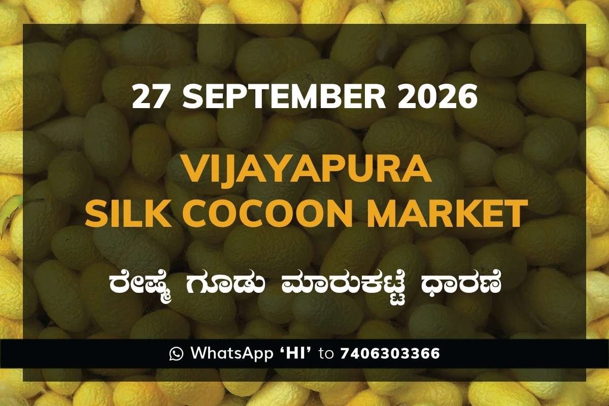 Vijayapura Silk Cocoon Market Rates – 27 September 2026