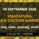 Vijayapura Silk Cocoon Market Rates – 30 September 2026