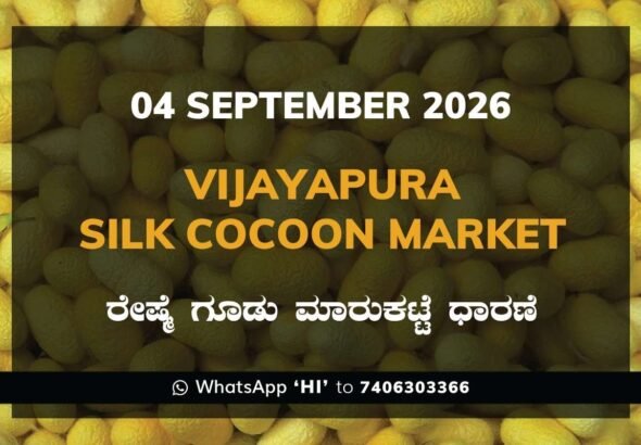 Vijayapura Silk Cocoon Market Rates – 4 September 2026