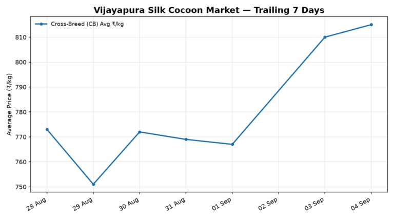Vijayapura Silk Cocoon Trend – 4 September 2026