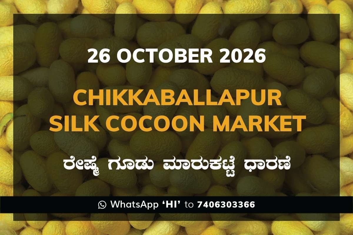 Chikkaballapur Silk Cocoon Market Rates – 26 October 2026