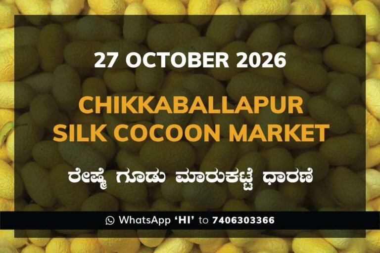 Chikkaballapur Silk Cocoon Market Rates – 27 October 2026