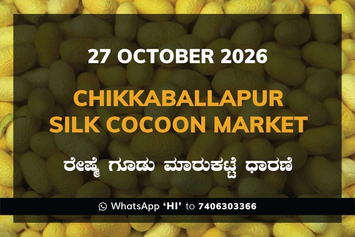 Chikkaballapur Silk Cocoon Market Rates – 27 October 2026