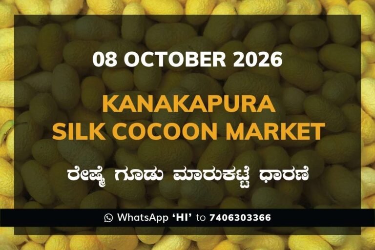 Kanakapura Silk Cocoon Market Rates – 08 October 2026
