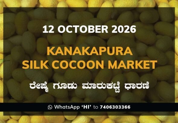 Kanakapura Silk Cocoon Market Rates – 12 October 2026