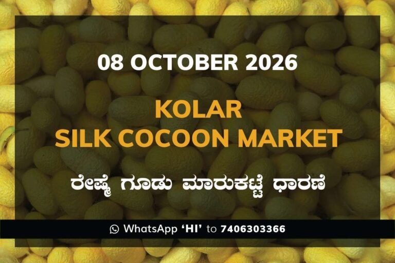 Kolar Silk Cocoon Market Rates – 08 October 2026