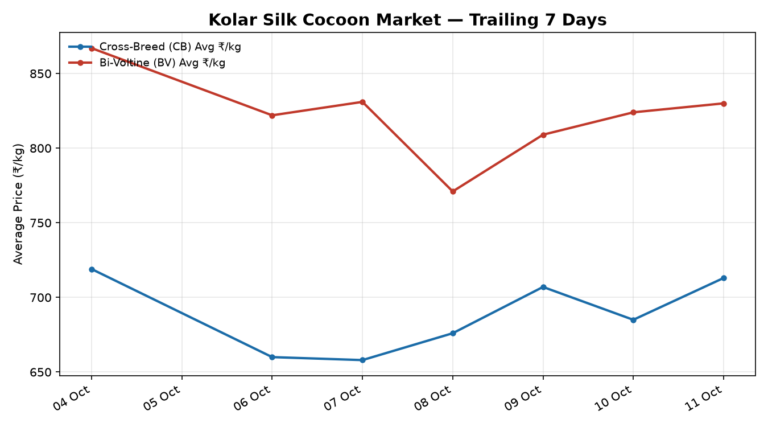 Kolar Silk Cocoon Trend – 11 October 2026