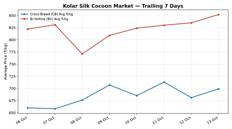 Kolar Silk Cocoon Trend – 13 October 2026