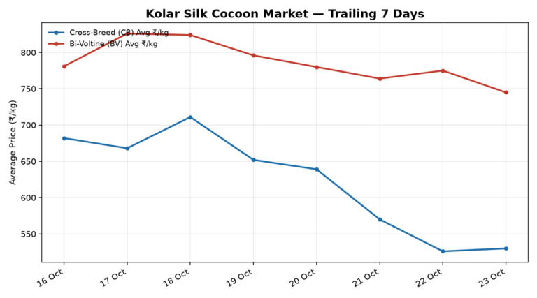 Kolar Silk Cocoon Trend – 23 October 2026