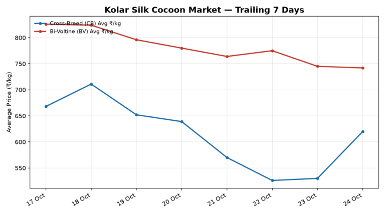 Kolar Silk Cocoon Trend – 24 October 2026