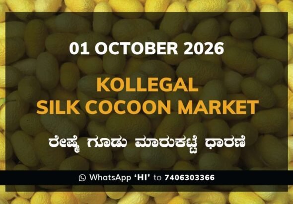 Kollegal Silk Cocoon Market Rates – 01 October 2026