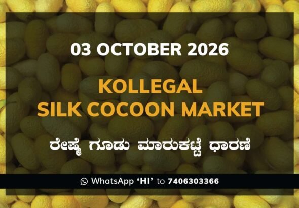 Kollegal Silk Cocoon Market Rates – 03 October 2026