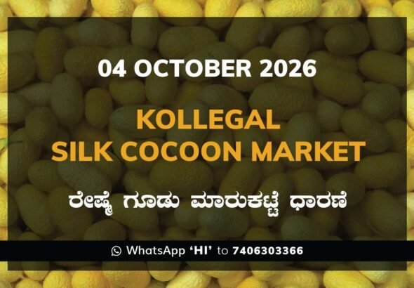 Kollegal Silk Cocoon Market Rates – 04 October 2026