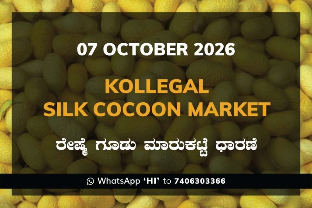 Kollegal Silk Cocoon Market Rates – 07 October 2026