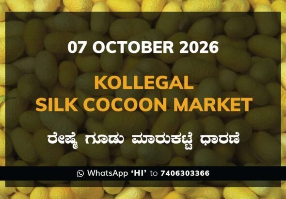 Kollegal Silk Cocoon Market Rates – 07 October 2026