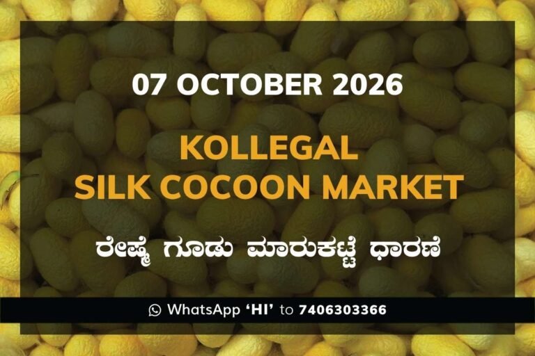Kollegal Silk Cocoon Market Rates – 07 October 2026