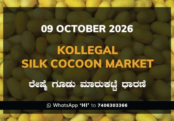 Kollegal Silk Cocoon Market Rates – 09 October 2026
