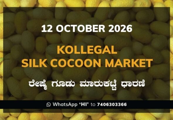 Kollegal Silk Cocoon Market Rates – 12 October 2026