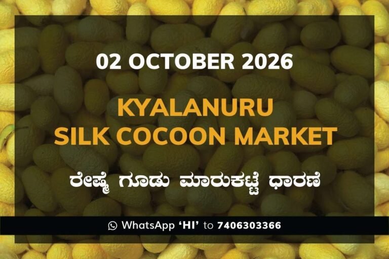 Kyalanuru Silk Cocoon Market Rates – 02 October 2026