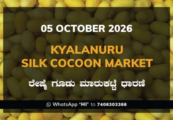 Kyalanuru Silk Cocoon Market Rates – 05 October 2026