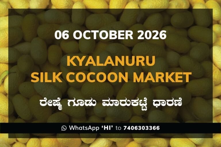 Kyalanuru Silk Cocoon Market Rates – 06 October 2026