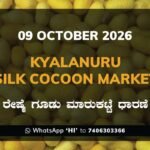 Kyalanuru Silk Cocoon Market Rates – 09 October 2026