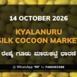 Kyalanuru Silk Cocoon Market Rates – 14 October 2026