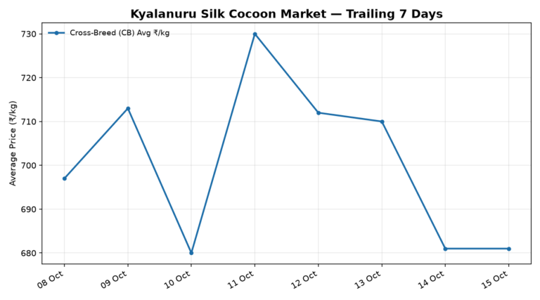 Kyalanuru Silk Cocoon Trend – 15 October 2026