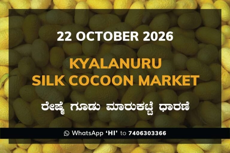 Kyalanuru Silk Cocoon Market Rates – 22 October 2026