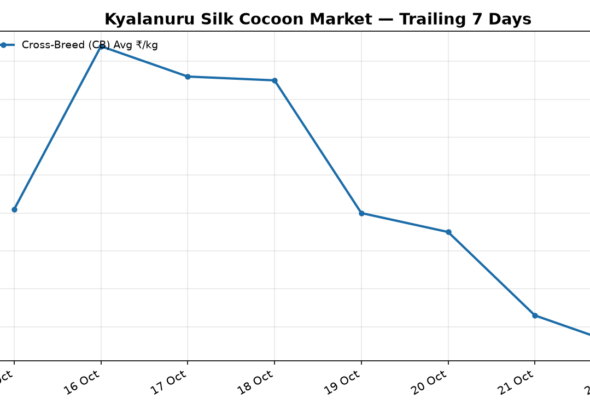 Kyalanuru Silk Cocoon Trend – 22 October 2026