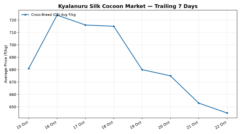 Kyalanuru Silk Cocoon Trend – 22 October 2026