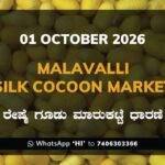 Malavalli Silk Cocoon Market Rates – 01 October 2026