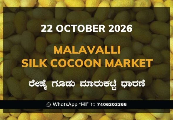 Malavalli Silk Cocoon Market Rates – 22 October 2026