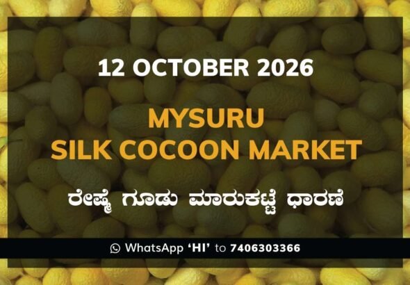 Mysuru Silk Cocoon Market Rates – 12 October 2026
