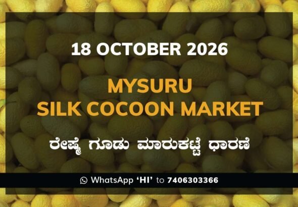 Mysuru Silk Cocoon Market Rates – 18 October 2026