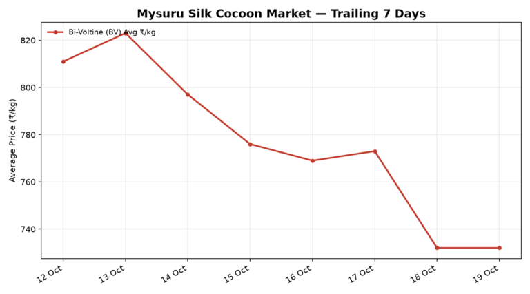 Mysuru Silk Cocoon Trend – 19 October 2026