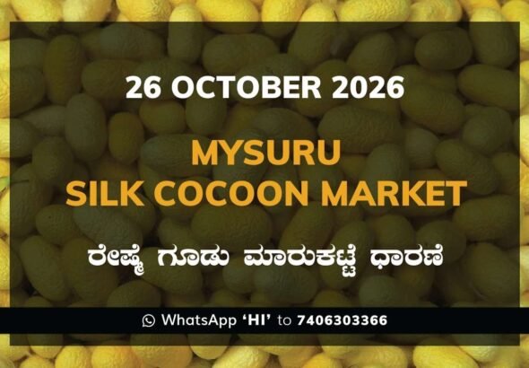 Mysuru Silk Cocoon Market Rates – 26 October 2026
