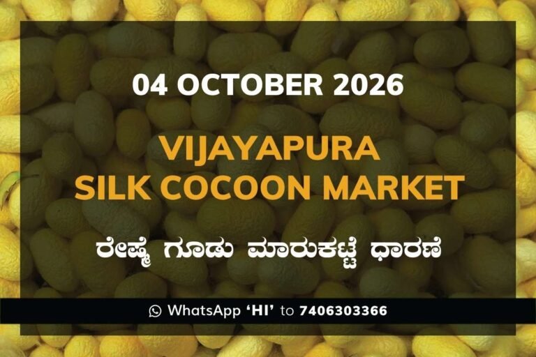 Vijayapura Silk Cocoon Market Rates – 04 October 2026
