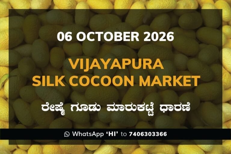 Vijayapura Silk Cocoon Market Rates – 06 October 2026