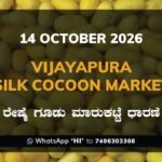 Vijayapura Silk Cocoon Market Rates – 14 October 2026
