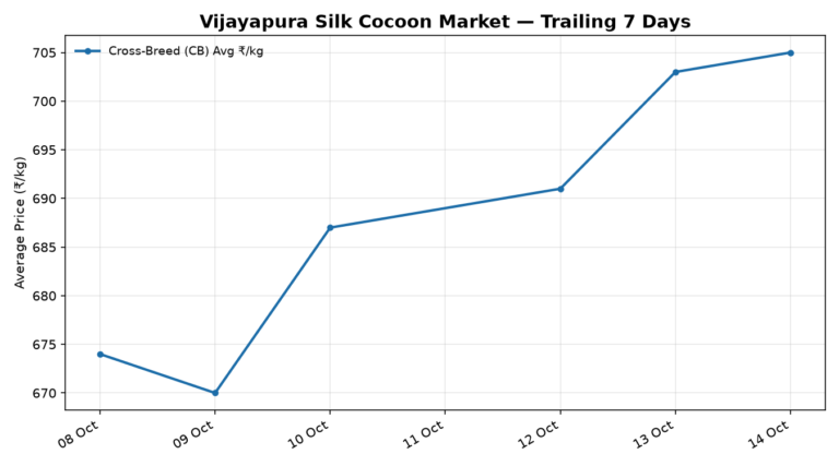 Vijayapura Silk Cocoon Trend – 14 October 2026
