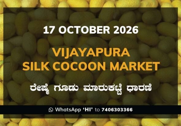 Vijayapura Silk Cocoon Market Rates – 17 October 2026