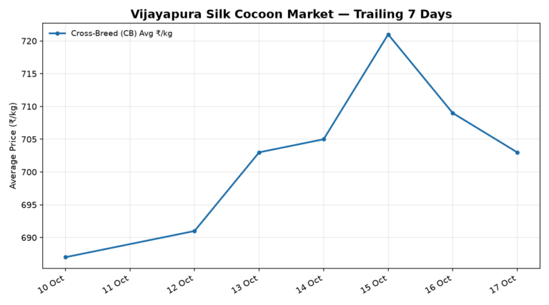 Vijayapura Silk Cocoon Trend – 17 October 2026